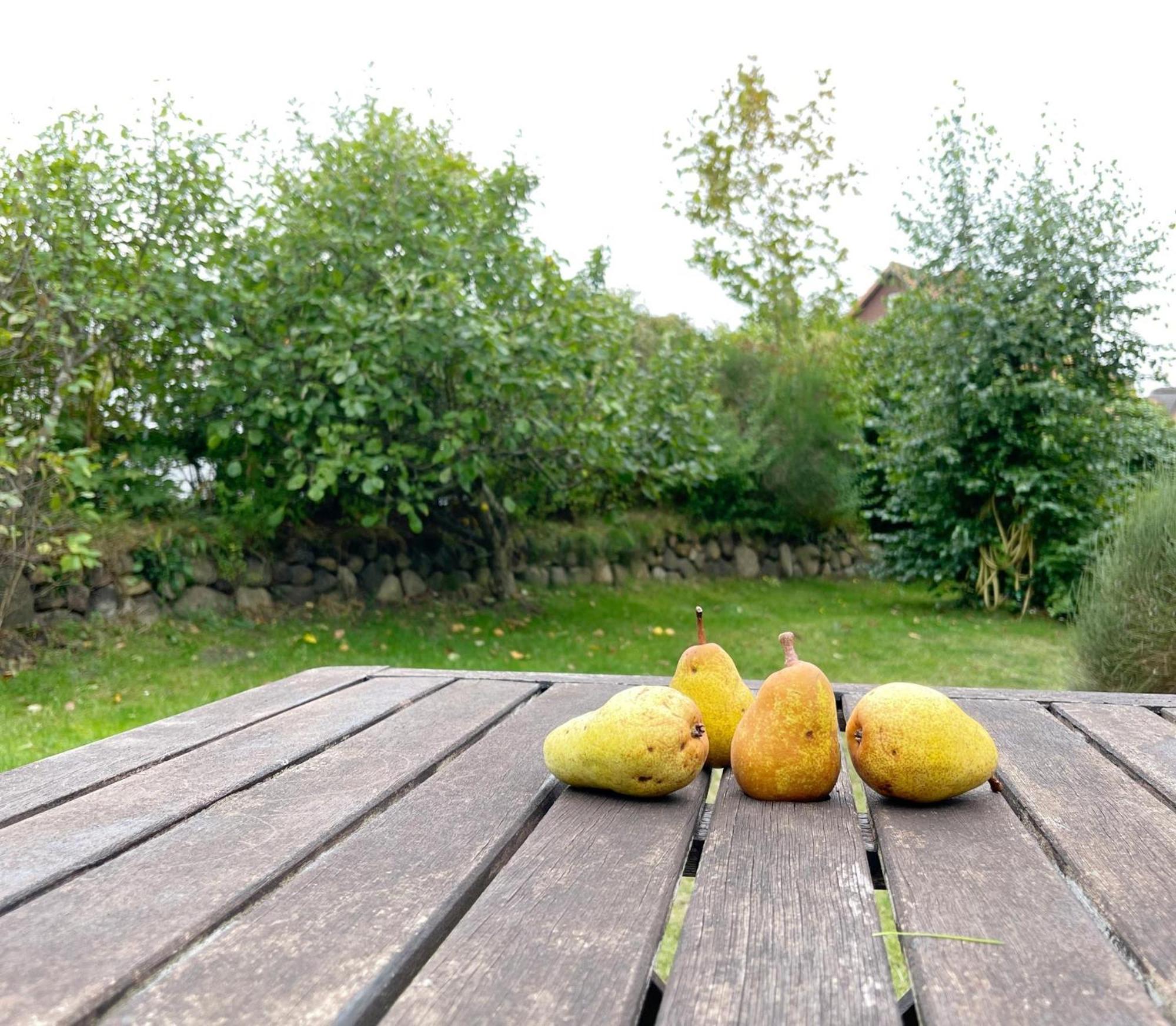 Haus Malte Weninngstedt App 1 Wenningstedt-Braderup Exteriör bild